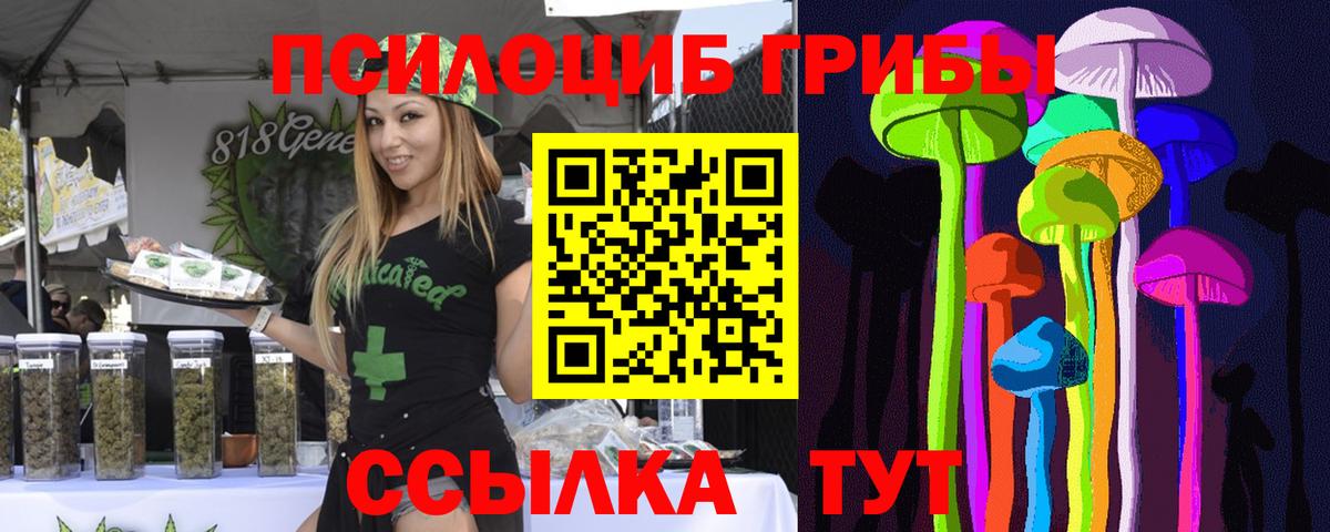 Уварово  Псилоцибиновые грибы прущие грибы  Вход с VPN 