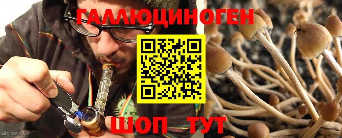 Галлюциногенные грибы Psilocybe Уварово